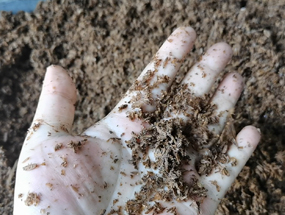 濃香型酒糟擠壓脫水,為您的生產(chǎn)提供解決方案!